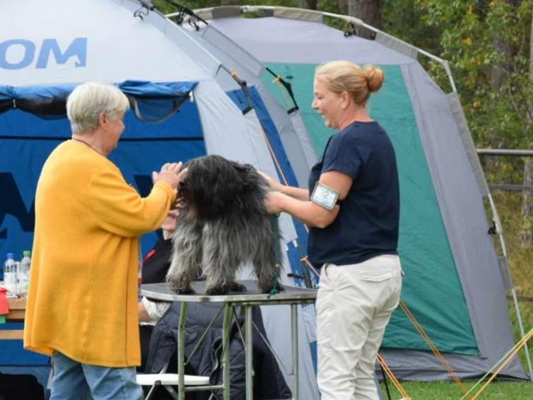 Föreläsning med Moa Persson